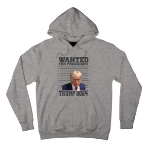 Wanted For President 2024 Trump Mugshot Trump Supporter Hoodie