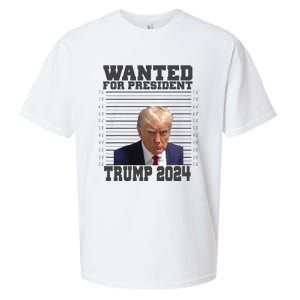 Wanted For President 2024 Trump Mugshot Trump Supporter Sueded Cloud Jersey T-Shirt