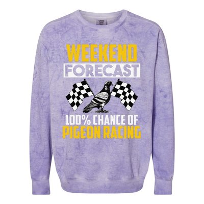 Weekend Forecast Pigeon Racing Animal Bird Pigeons Graphic Colorblast Crewneck Sweatshirt