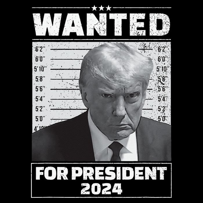 Wanted For President 2024 Trump Mugshot Cooling Performance Crew T-Shirt