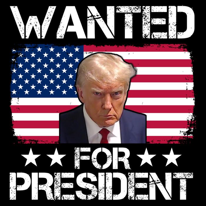 Wanted For President Donald Trump USA Election Cooling Performance Crew T-Shirt