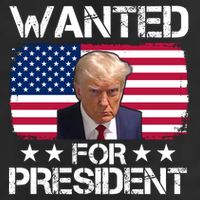 Wanted For President Donald Trump USA Election Beanie