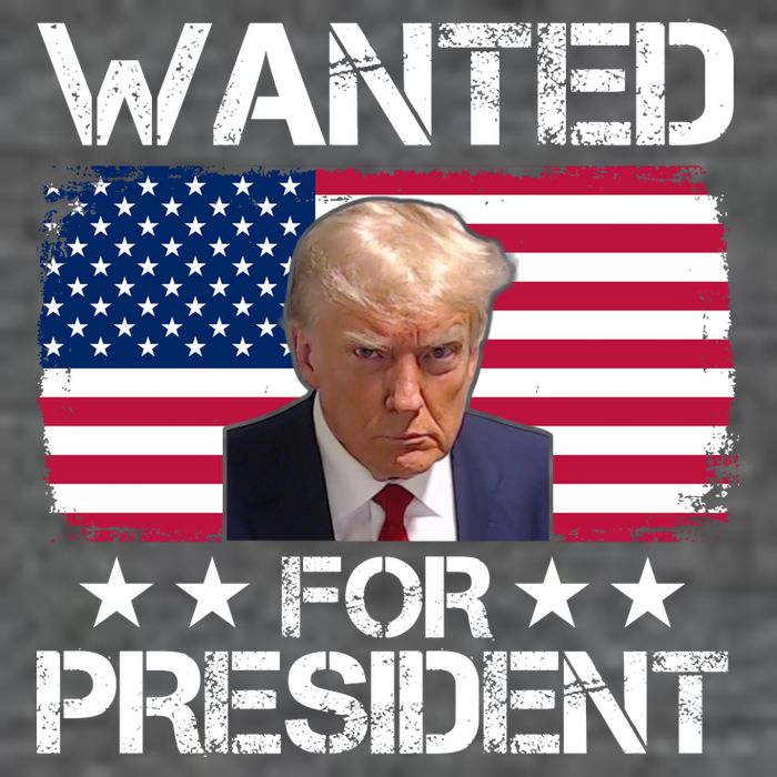 Wanted For President Donald Trump USA Election Flatbill Hat