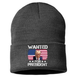 Wanted For President Donald Trump USA Election Sustainable Knit Beanie