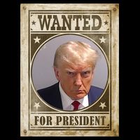 Wanted For President Funny Donald Trump Mugshot T-Shirt