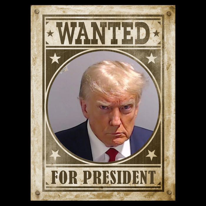 Wanted For President Funny Donald Trump Mugshot T-Shirt