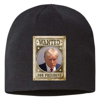 Wanted For President Funny Donald Trump Mugshot Sustainable Beanie