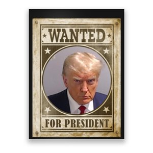 Wanted For President Funny Donald Trump Mugshot Poster