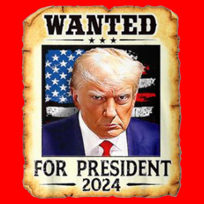 Wanted For President 2024 Donald Trump Tall T-Shirt