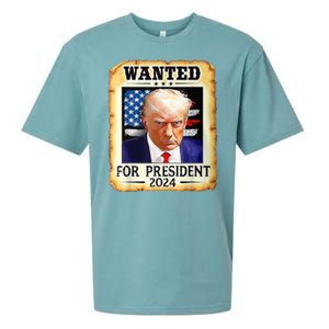 Wanted For President 2024 Donald Trump Sueded Cloud Jersey T-Shirt