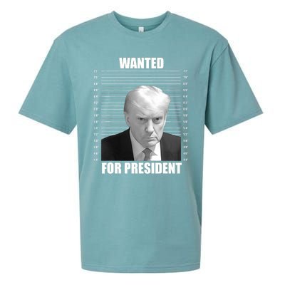 Wanted For President 2024 Trump Mug Shot Never Surrender Sueded Cloud Jersey T-Shirt