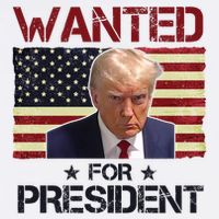 Wanted For President Donald Trump American Flag Button