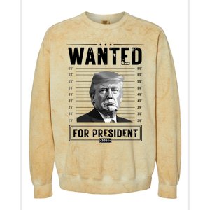 Wanted For President 2024 Vote Trump Colorblast Crewneck Sweatshirt