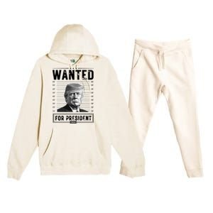 Wanted For President 2024 Vote Trump Premium Hooded Sweatsuit Set