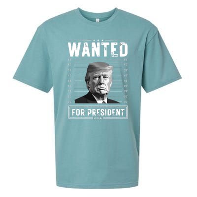 Wanted For President 2024 Vote Trump Sueded Cloud Jersey T-Shirt