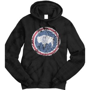 Wyoming Flag Retro Fade Family Tie Dye Hoodie