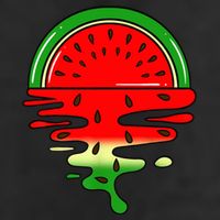 Watermelon Fruit Summer Sunset 11oz C Handle Ceramic Mug