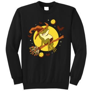 Witch Frog Sweatshirt