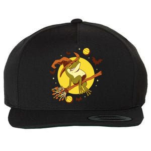 Witch Frog Wool Snapback Cap