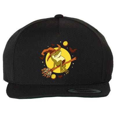 Witch Frog Wool Snapback Cap