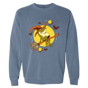 Witch Frog Garment-Dyed Sweatshirt