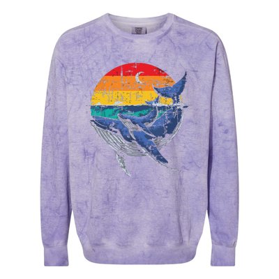 Whale Family Whale Lover Whales Aquarist Marine Biologist Colorblast Crewneck Sweatshirt