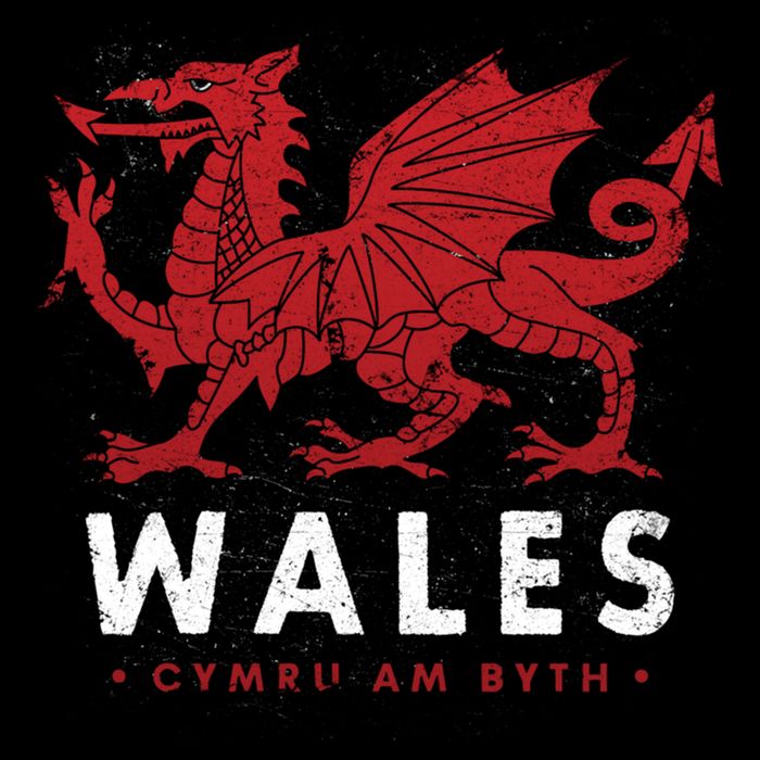 Wales Flag Welsh Dragon Baner Cymru Am Byth Welsh Gift Impact Tech Backpack
