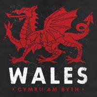 Wales Flag Welsh Dragon Baner Cymru Am Byth Welsh Gift 25L Jumbo Tote