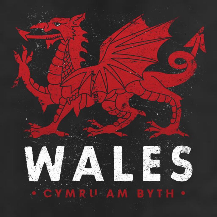 Wales Flag Welsh Dragon Baner Cymru Am Byth Welsh Gift 25L Jumbo Tote