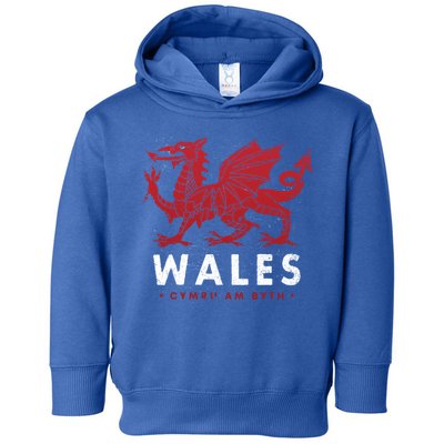 Wales Flag Welsh Dragon Baner Cymru Am Byth Welsh Gift Toddler Hoodie