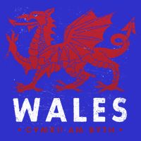 Wales Flag Welsh Dragon Baner Cymru Am Byth Welsh Gift Visor
