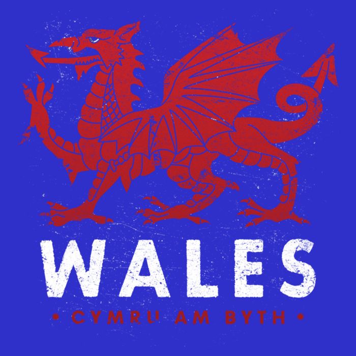 Wales Flag Welsh Dragon Baner Cymru Am Byth Welsh Gift Visor