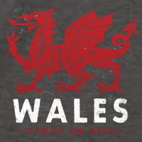 Wales Flag Welsh Dragon Baner Cymru Am Byth Welsh Gift Vector Backpack