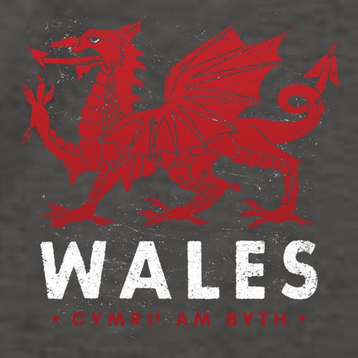 Wales Flag Welsh Dragon Baner Cymru Am Byth Welsh Gift Vector Backpack