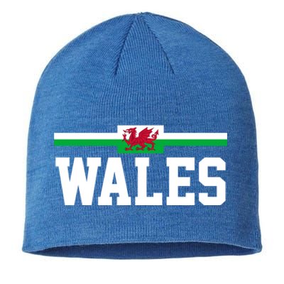 Wales Flag Welsh Cool Gift Sustainable Beanie