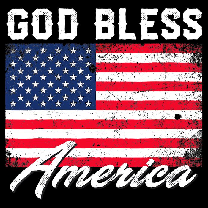 Wo God Bless America USA Flag 4th Of July Patriotic V-Neck Doggie Tank