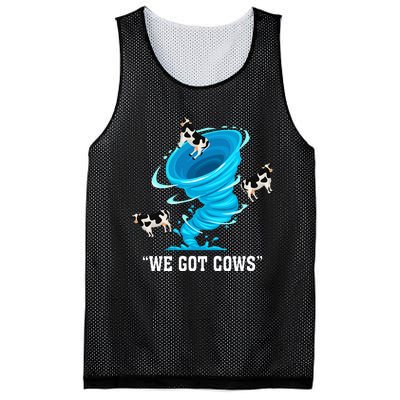 We Got Cows Funny Tornado Chaser Love Chasing Tornados Mesh Reversible Basketball Jersey Tank