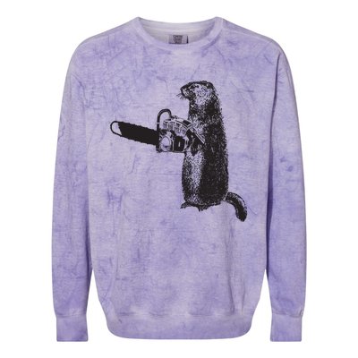 Woodchuck Groundhog Day Could Chainsaw Wood Colorblast Crewneck Sweatshirt