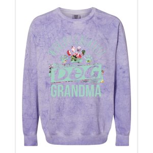 World's Greatest Dog Grandma Ever Pet Love Meaningful Gift Colorblast Crewneck Sweatshirt