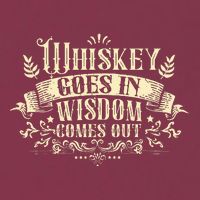 Whiskey Goes In Wisdom Comes Out Drinker 16oz Travel Tumbler