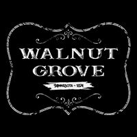 Walnut Grove Minnesota Mn 1874 16 in Basic Backpack