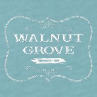 Walnut Grove Minnesota Mn 1874 Sueded Cloud Jersey T-Shirt