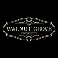 Walnut Grove Minnesota Mn 1874 16 in Basic Backpack