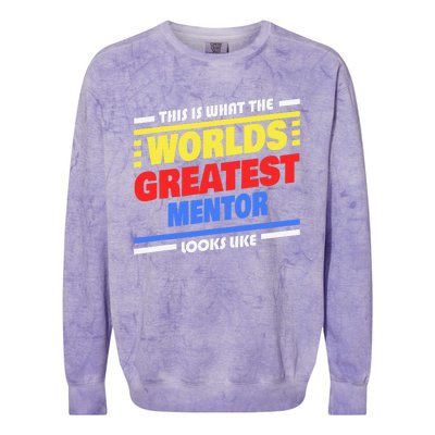 World's Greatest Mentor Saying Funny Mentor Colorblast Crewneck Sweatshirt