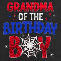 Women Grandma Of The Birthday Boy Matching Spider Web Family 7 Panel Mesh Trucker Snapback Hat
