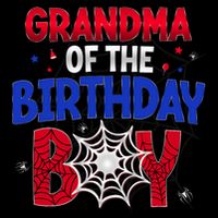 Women Grandma Of The Birthday Boy Matching Spider Web Family V-Neck T-Shirt