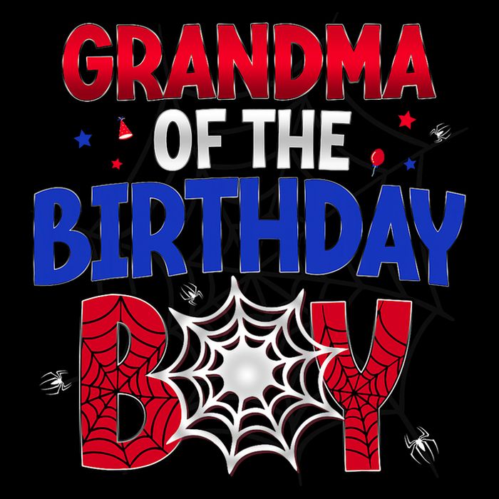 Women Grandma Of The Birthday Boy Matching Spider Web Family V-Neck T-Shirt