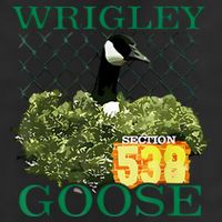 Wrigley Goose Section 538  7 Panel Mesh Trucker Snapback Hat