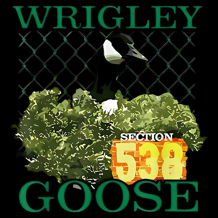 Wrigley Goose Section 538  Womens T-Shirt