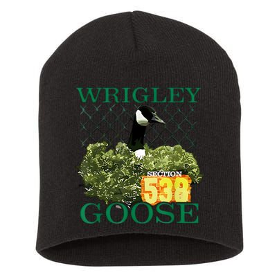 Wrigley Goose Section 538  Short Acrylic Beanie